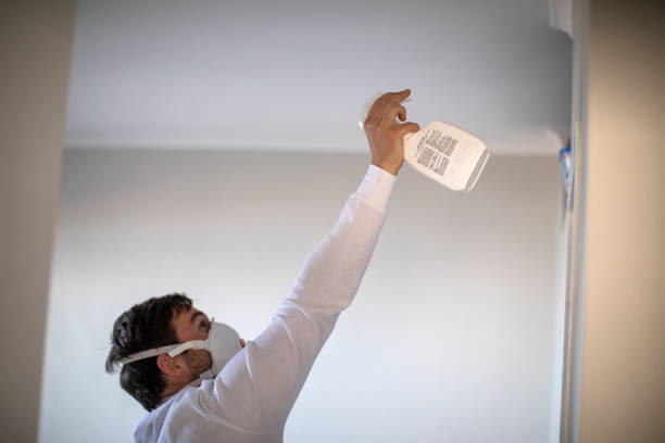 Best Home Mold Removal  in Hanahan, SC