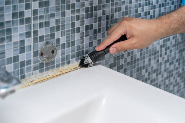 Best Mold Damage Repair  in Hanahan, SC