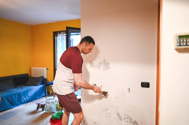 Best Affordable Mold Removal  in Hanahan, SC