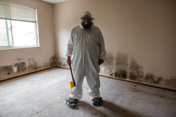 Best Residential Mold Removal  in Hanahan, SC