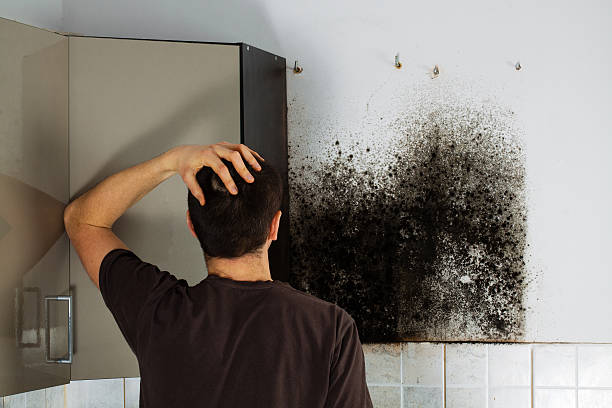 Best Mold Removal Near Me  in Hanahan, SC