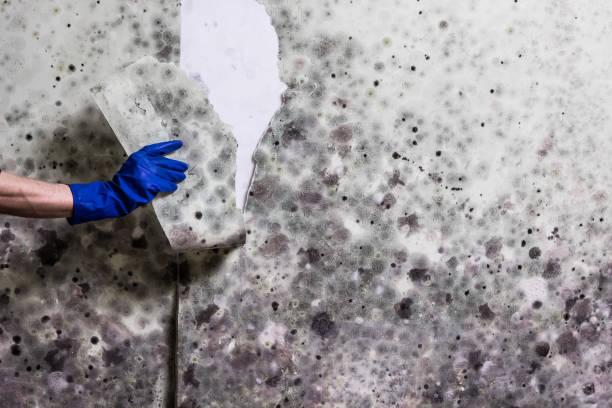 Water Damage Restoration in Hanahan, SC